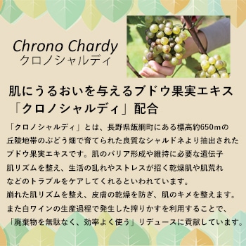 V416�ݡ��饷���֥쥤���ܥǥ�������10L������1�ġ�