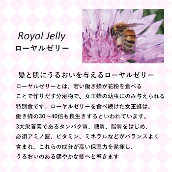 V417�ݡ��饷���֥쥤����󥹥��󥷥��ס�10L������1�ġ�