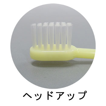 Ҷѥ˥ƥåȡʥ˥ޥɡˡ150ġ