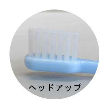 �Ҷ��ѥϥ֥饷���ͣ򡥣ƣ��������饤�ȥ֥롼������250�ܡ�