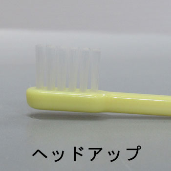 ���å��ե���ʻҶ��ѥϥ֥饷���åȡ˥�������������250�ܡ�