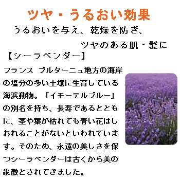 V210 �ݡ��饨���ƥ��磻��������ǥ�����ʡ�N10�̡�����1�ġ�