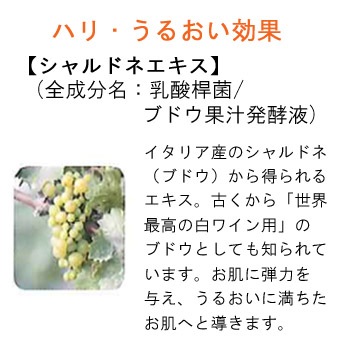 V230 ݡ饨ƥ磻󥸥󥰥åN1L6ġ