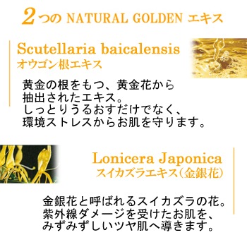 V276 �ݡ��饢���ޥ��å�������ɥܥǥ����������N��1�̡�����6�ġ�