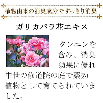 V301 �ݡ��饨���ƥ��磻������ե�å��㡼N10�̡ʾý��ޡˡ�����1�ġ�