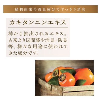 V310ݡ饷֥쥤ץ饹եå㡼10̡ʾýޡˡ1ġ