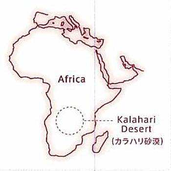 V186�ݡ��饫��ϥꡡ�ե������ޥ���������400���