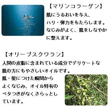 V211 �ݡ��饨���ƥ��磻�����ܥǥ������ף�10�̡�����1�ġ�