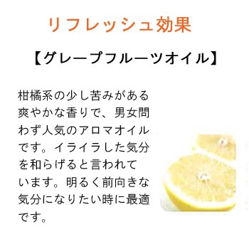 V229 ポーラエステロワイエ リキッドクレンジングN1L【入数6個】