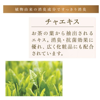 V310ݡ饷֥쥤ץ饹եå㡼10̡ʾýޡˡ1ġ