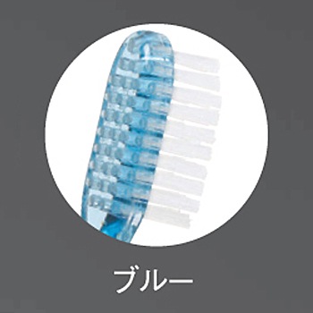 �ޥåȥ��꡼������-2��-3.5����ϥ֥饷������1000�ܡ�