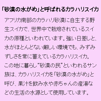 V186�ݡ��饫��ϥꡡ�ե������ޥ���������400���