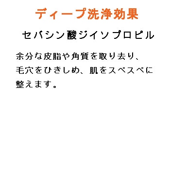 V209 ポーラエステロワイエ シャンプーN10L【入数1個】