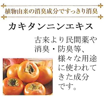 V301 �ݡ��饨���ƥ��磻������ե�å��㡼N10�̡ʾý��ޡˡ�����1�ġ�