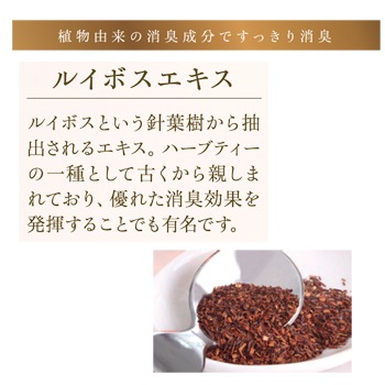 V310ݡ饷֥쥤ץ饹եå㡼10̡ʾýޡˡ1ġ