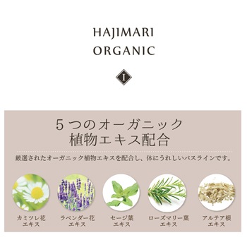 �ϥ��ޥꥪ�����˥å����ܥǥ�������2L������8�ġ�