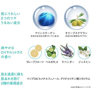 V372 ݡ饨ƥ磻ѥեॽN10L1ġ