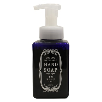 ����ȥ�å��奷�꡼�����ѥϥ�ɥ�����2L������6�ġ�