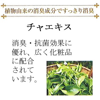 V301 �ݡ��饨���ƥ��磻������ե�å��㡼N10�̡ʾý��ޡˡ�����1�ġ�