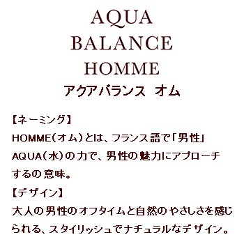 V201ポーラアクアバランスオムスタイリングフォーム1L【入数6本】