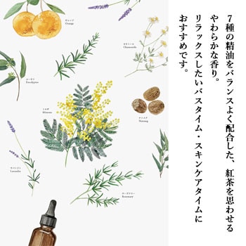 V253 ݡ饢ޥåɥܥǥ10̡1ġ