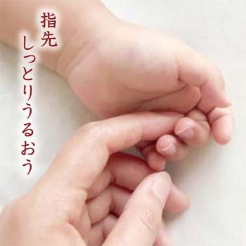 ���ƥ� �����ϥ�ɥ��꡼��2�������1000�ġ�