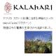 V139�ݡ��饫��ϥꡡ�ǥ��꡼������ɥߥ륯3ml������400�ġ�