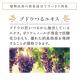 V309 �ݡ��饢���ޥ��å�������ɥ�ե�å��㡼10�̡ʾý��ޡˡ�����1�ġ�