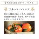 V309 �ݡ��饢���ޥ��å�������ɥ�ե�å��㡼10�̡ʾý��ޡˡ�����1�ġ�