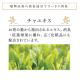 V309 �ݡ��饢���ޥ��å�������ɥ�ե�å��㡼10�̡ʾý��ޡˡ�����1�ġ�