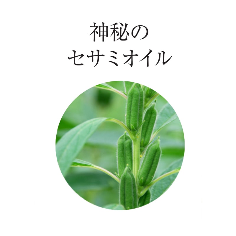 ジーラ クレンジングオイル ミニパウチ3ml×200包 | カテゴリから探す