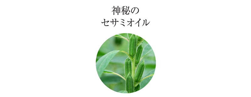 LAFIS クリーンローション　2本セット リサージ ディープクリーンローション セットA｜紹介記事｜キレイエ