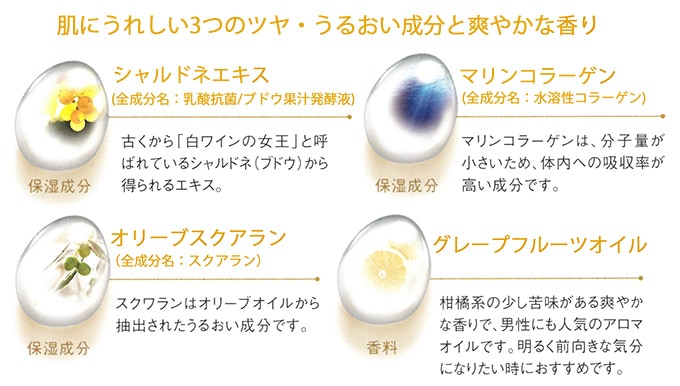 エステロワイエ モイスチャーローションN 2mlパウチ×400枚 | すべての