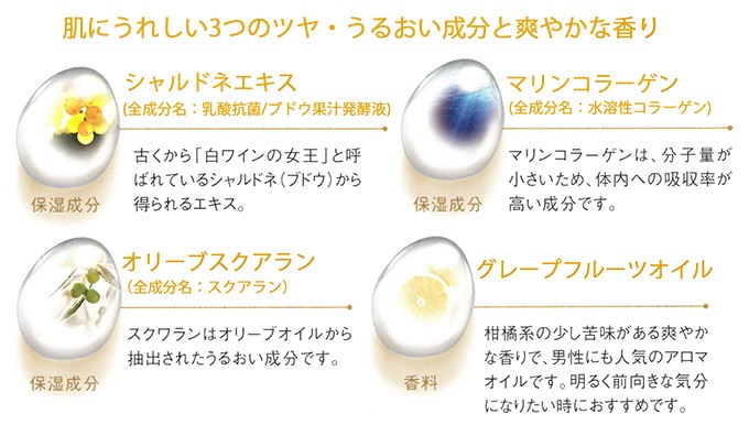 エステロワイエ リキッドクレンジングN 3mlパウチ×400枚 | カテゴリ