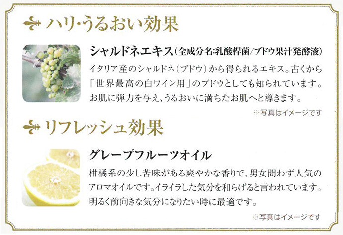 エステロワイエ クレンジングウォッシュN 業務用1L×6本 | カテゴリから