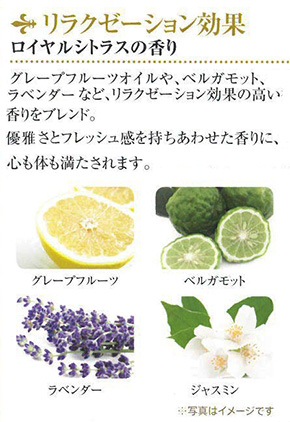 ポーラ エステロワイエ 30mL 3点セットN 100セット 業務用 | カテゴリ