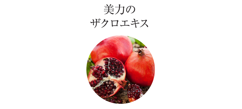 ジーラ ミルキィエッセンス 業務用900ml | カテゴリから探す