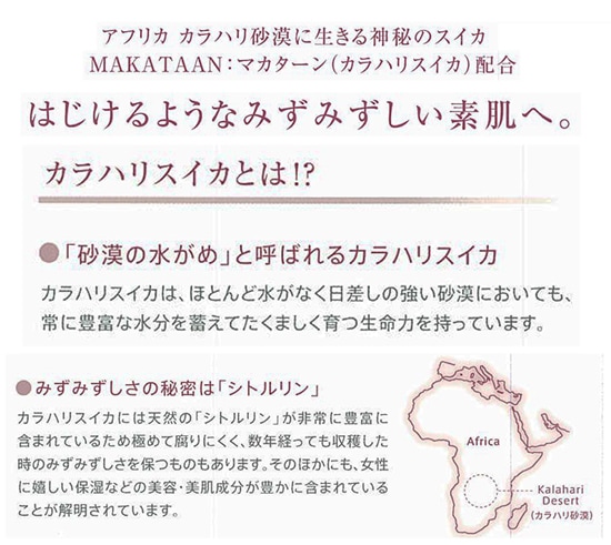 カラハリ フェイスマスク＜マスク＞ 1枚入り×400枚 | カテゴリから探す