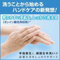 ソフティ EX-CARE（エクスケア）コンパクト 泡ハンドウォッシュ 業務用