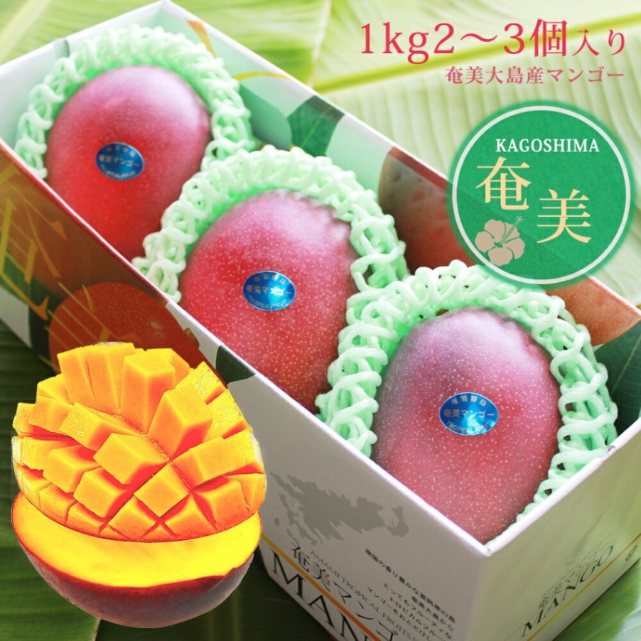 【メーカー直送】【8月上旬より発送】MMfarm 奄美大島産 マンゴー 1kgセット 2〜3個入り 化粧箱付き 熨斗無料