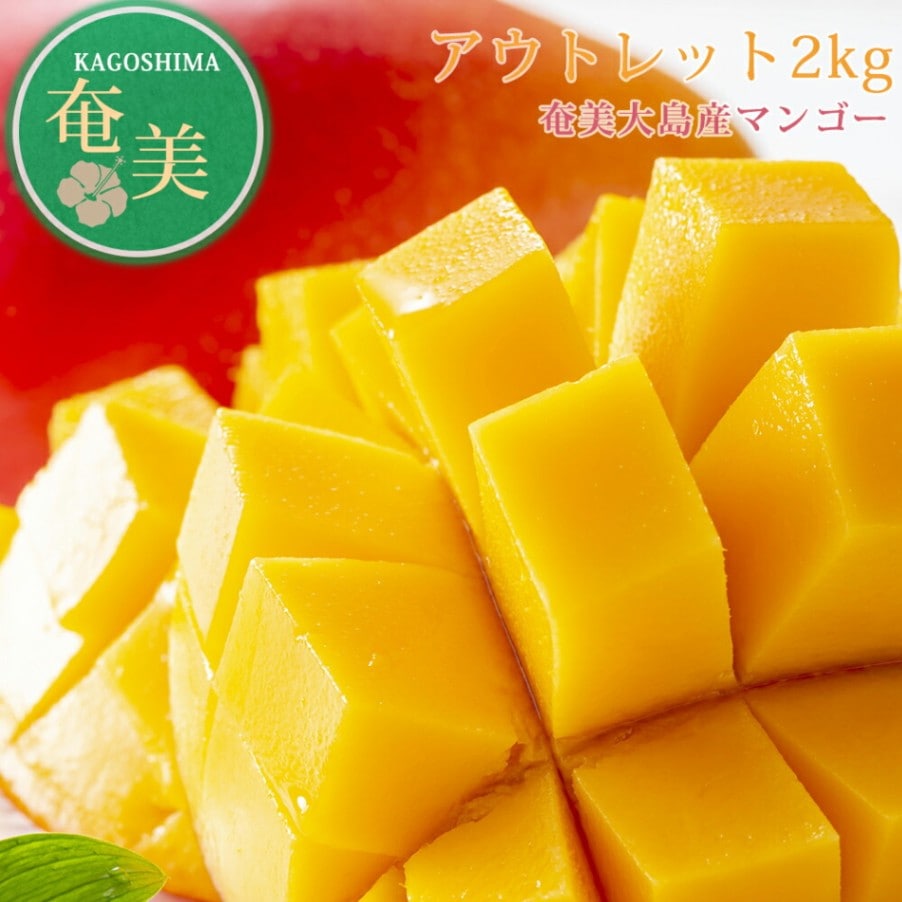 【メーカー直送】【訳あり】【8月上旬より発送】MMfarm 奄美大島産 マンゴー 2kg アウトレット 極上 希少 特別