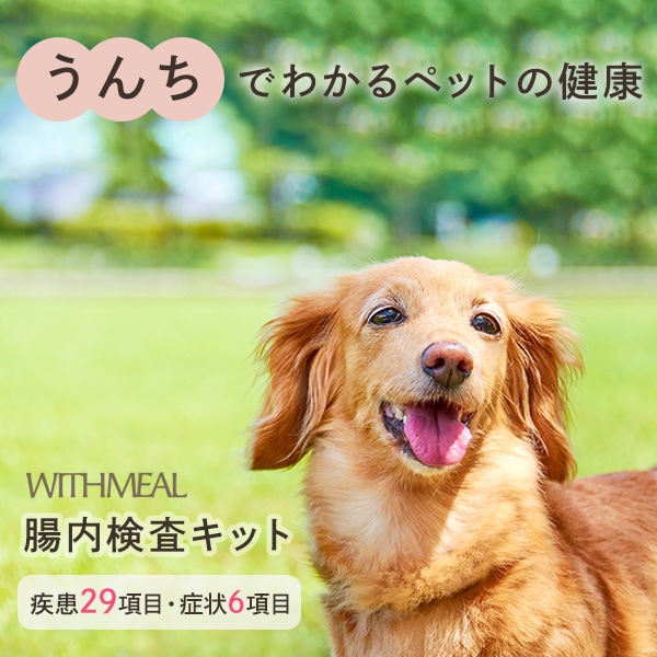 WITHMEAL 腸内検査キット 犬用 1回分 約10日で結果判明 犬用腸内フローラ検査 犬健康診断 腸内環境