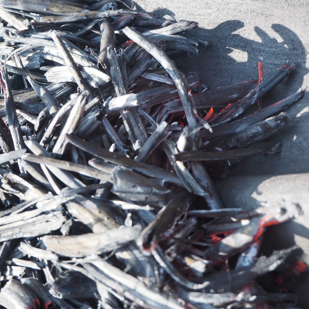 ROOT FOUR ルートフォー 麻殻炭スティック 長さ約9センチ 10~15本入り 国産 野州麻 吸湿 天然 加湿器