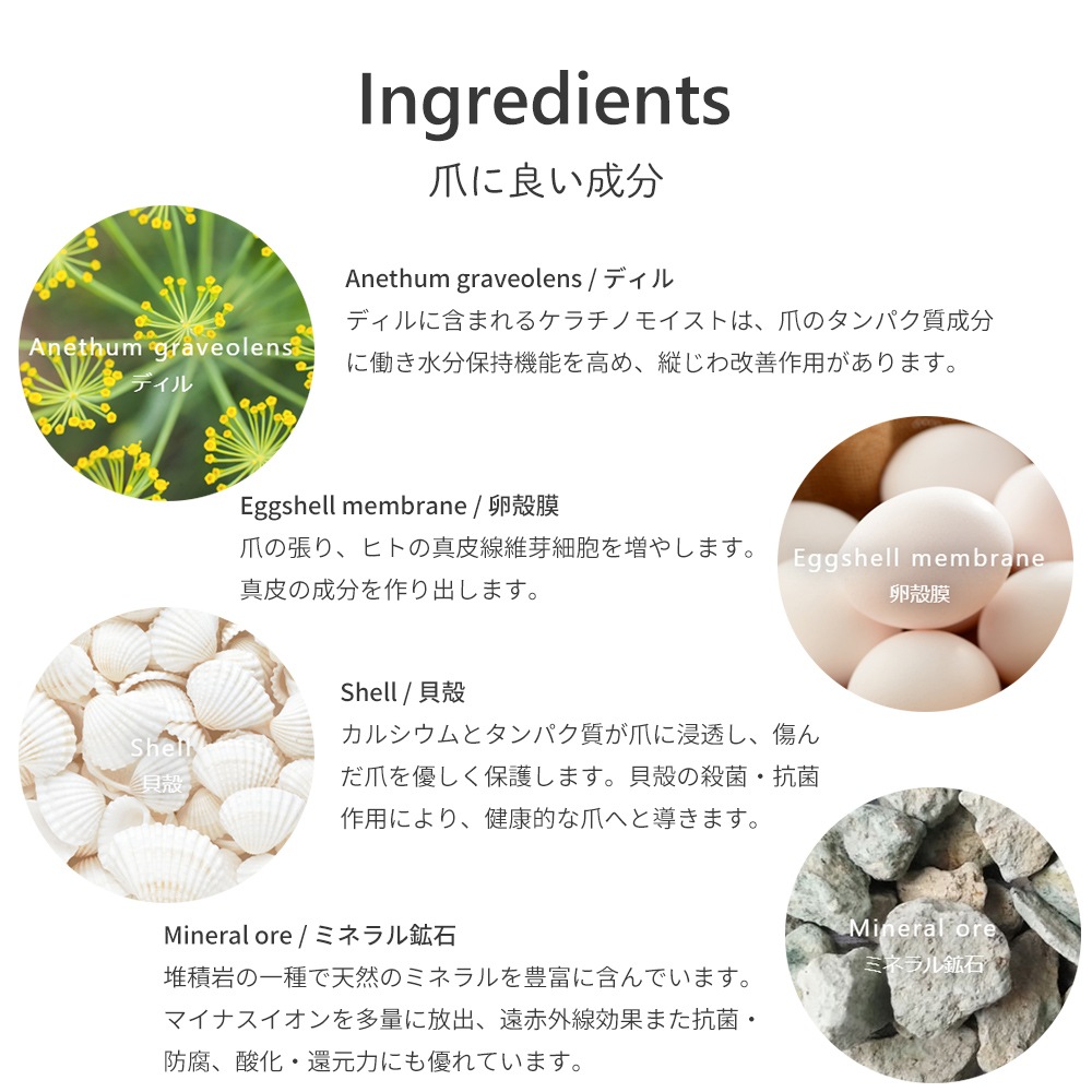 【シェルズコート3本以上で送料無料！】shellscoatシェルズコート6ml ミネラルネイル(TM)ベース＆トップ2 