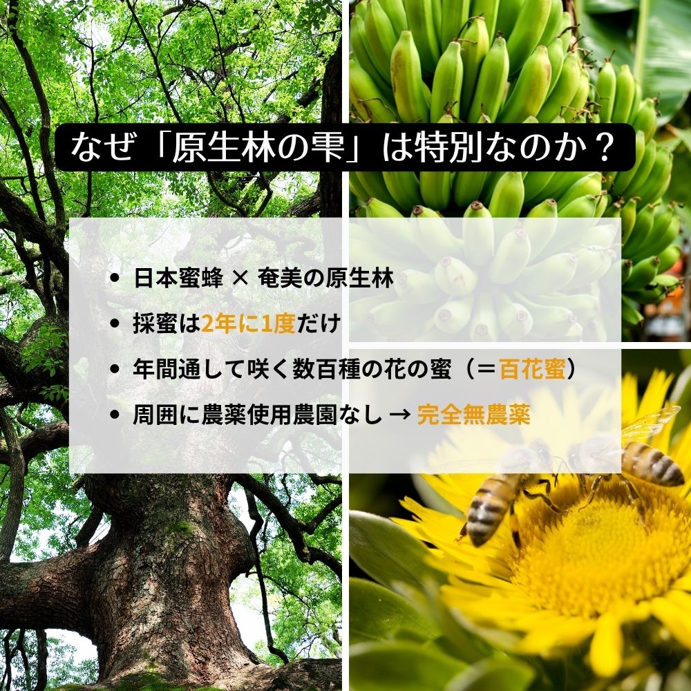 M.M Farm 原生林の雫 生はちみつ 奄美大島産 300g 非加熱 非加糖 こだわり製法 メディア多数紹介 希少 プ