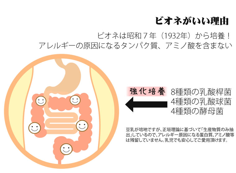 ビオネ BIONE ビオネBスティックタイプ 10ml×30包 乳酸菌生産物質