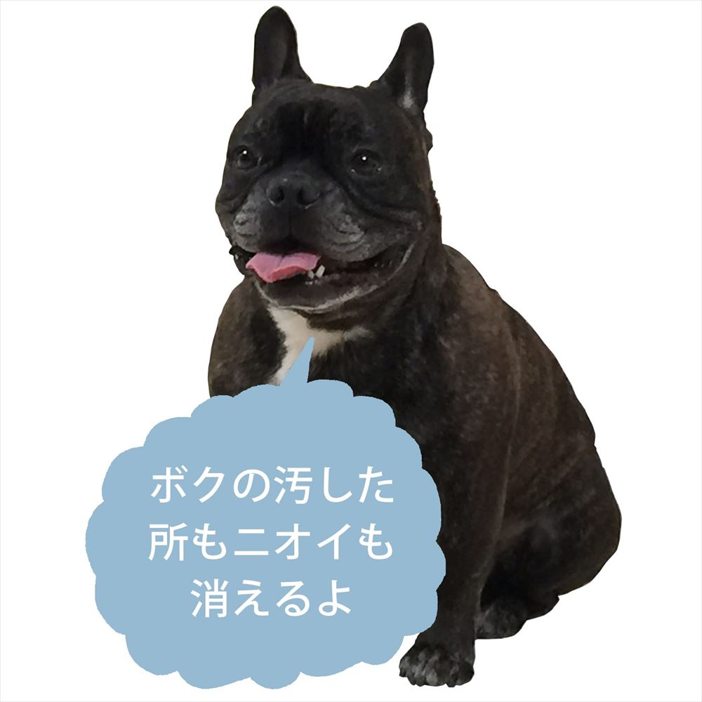 【在庫限り】Dr. Beckmann ドクター ベックマン カーペット ステインリムーバー 650ml ヘッドブラシ付き