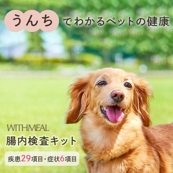 WITHMEAL 腸内検査キット 犬用 1回分 約10日で結果判明 犬用腸内フローラ検査 犬健康診断 腸内環境