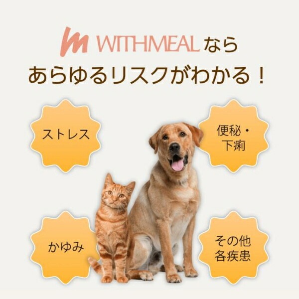 【在庫限り】WITHMEAL 腸内検査キット 猫用 1回分 約10日で結果判明 猫用腸内フローラ検査 猫健康診断 腸内環
