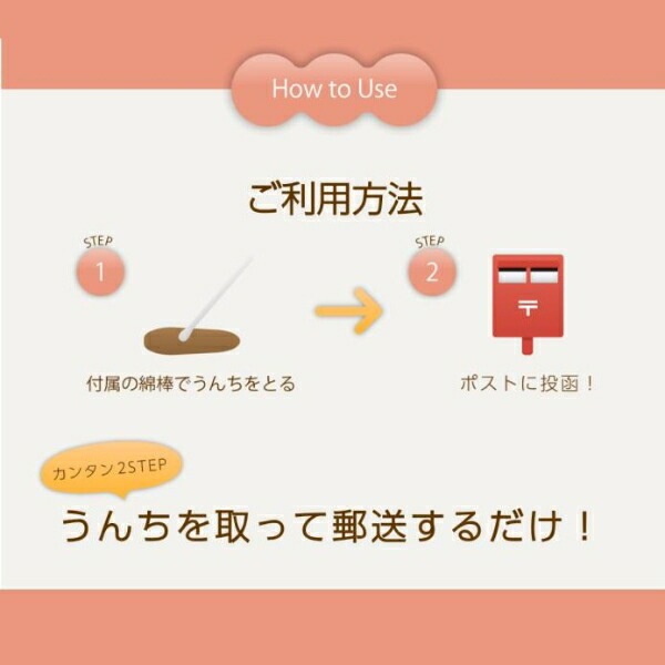 【在庫限り】WITHMEAL 腸内検査キット 猫用 1回分 約10日で結果判明 猫用腸内フローラ検査 猫健康診断 腸内環